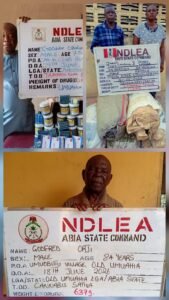 NDLEA arrests two granddads for supplying drugs to secondary school students, intercepts illicit consignment from China, seizes Dubai-bound Loud