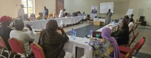 Cultural, structural barriers limiting women’s access to digital ecosystem in Northern Nigeria – CITAD