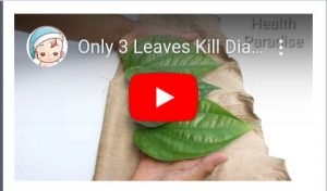 IMG_20191224_041440_478