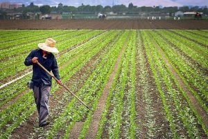 images - 2021-06-26T151934.164