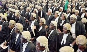 images - 2021-07-28T192011.284