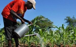 images - 2021-08-05T204807.194