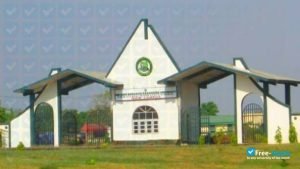 images - 2021-08-20T194830.937