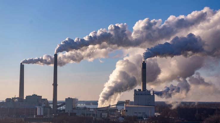 images - 2021-09-13T103007.246