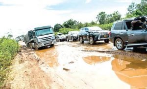 images - 2021-10-31T153516.419