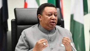 images - 2021-12-09T110947.495