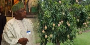 images - 2022-02-18T151939.626