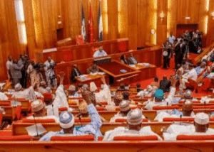 images - 2022-02-22T143901.076