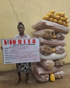 images - 2022-03-06T155234.017