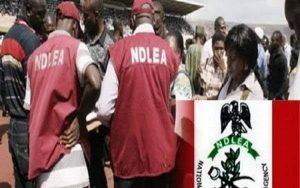 images - 2022-04-06T105436.044