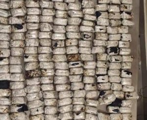 images - 2022-08-14T153558.838