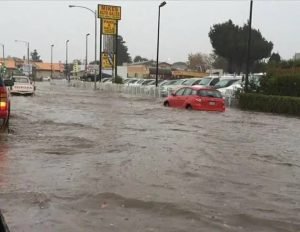 images - 2022-10-17T044606.507