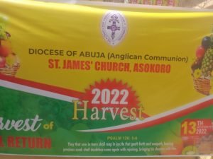 IMG_20221113_130149_8