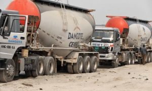 images - 2022-12-19T171955.572