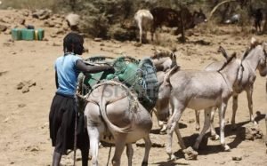 images - 2022-12-22T172031.292