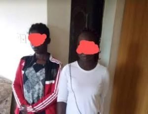 images - 2022-12-29T194101.811