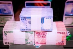 images - 2023-02-15T075530.021