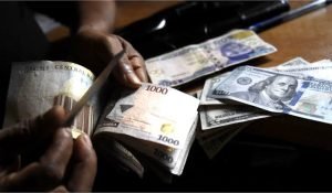 images - 2023-02-21T102504.343