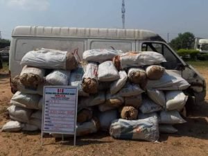 images - 2023-03-26T144605.828