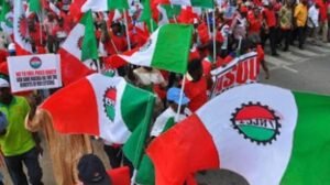 images - 2023-07-27T062450.079