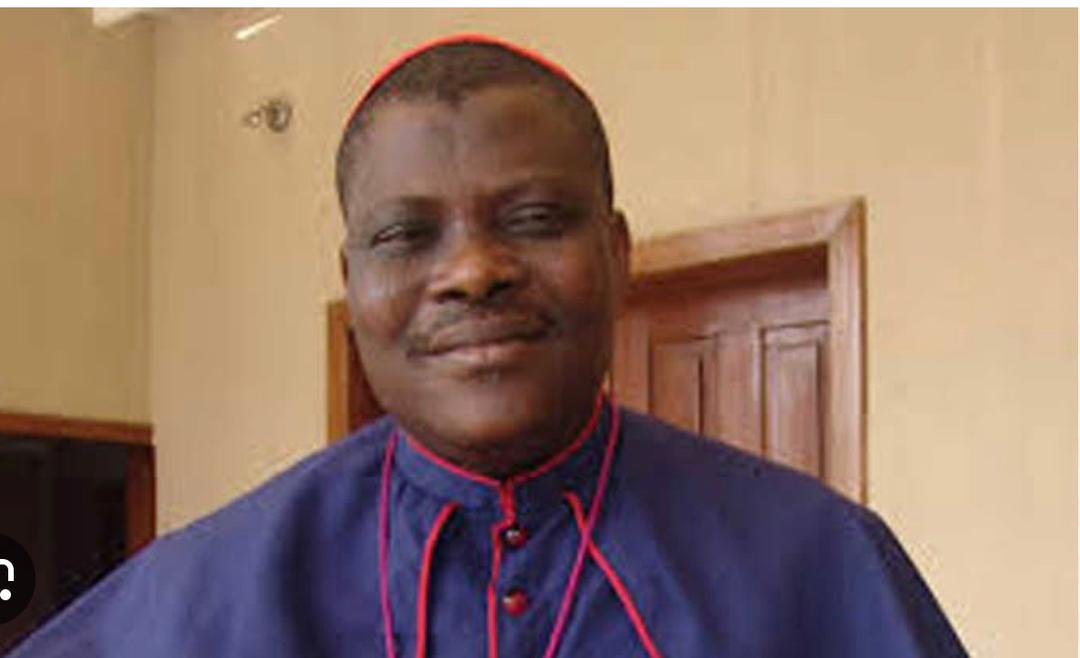 IMG-20230803-WA0029(1)