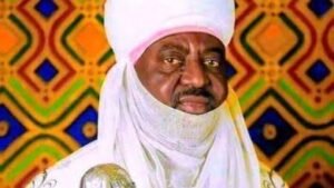 images - 2023-08-14T172849.900