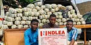 images - 2023-08-27T161603.389