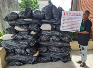 IMG-20231203-WA0008-768x564