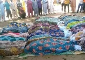 images - 2023-12-06T065509.323