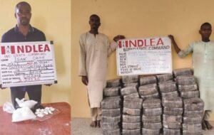 images - 2023-12-17T162006.712