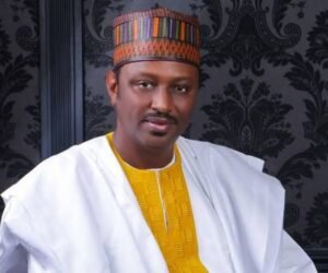 images - 2024-02-26T154315.836