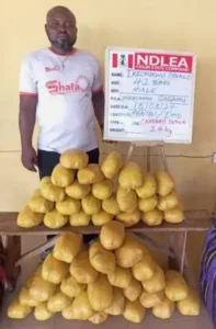 90ba4d86-36d6-4fdb-948d-3eb7838cdc21-280x427