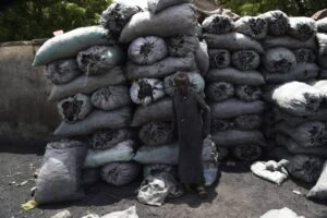 images - 2024-03-01T140947.329