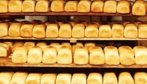 images - 2024-03-02T162317.338