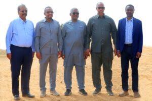 Fertiliser plants: Dangote vows to ensure food security in Africa, raises investment in Ethiopia to $4bn