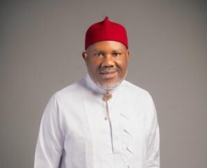 Ogene emerges NDC consensus candidate for Ogbaru federal constituency