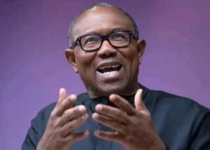 ACF rejects Peter Obi’s one-term presidency pledge, criticises Tinubu’s administration