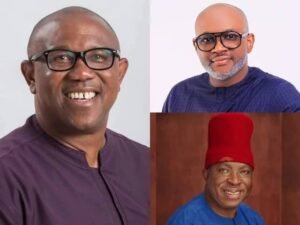 Pressure mounts on Peter Obi as emerging candidates reshape Anambra NDC landscape