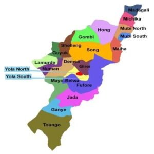 Adamawa LG polling marred by low turnout, insufficient materials