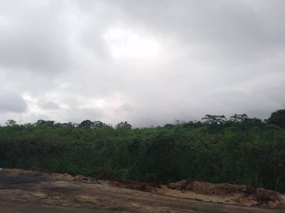 IMG-20260806-WA0105(1)